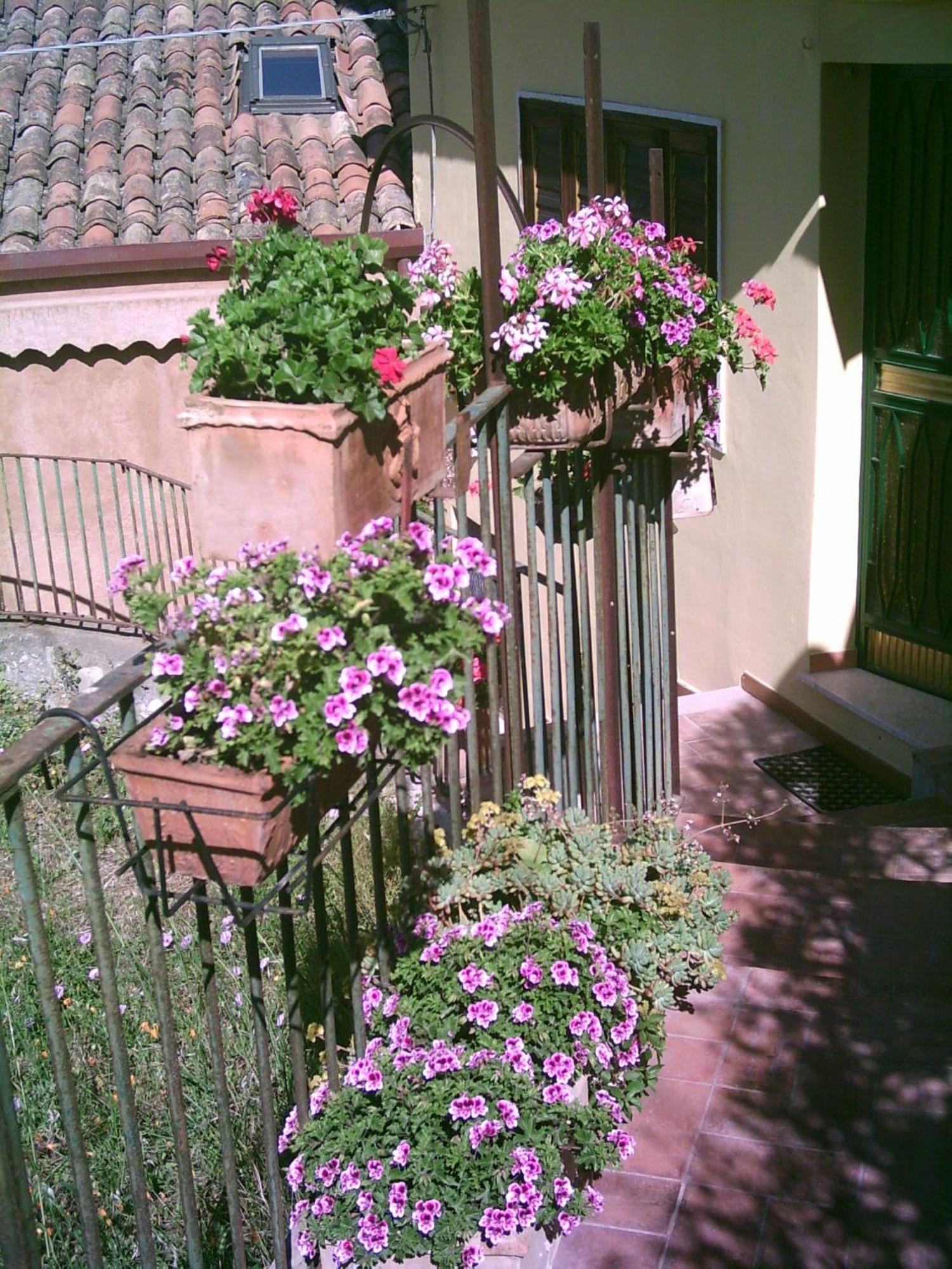 B&B U Palmentu Taormina Zewnętrze zdjęcie